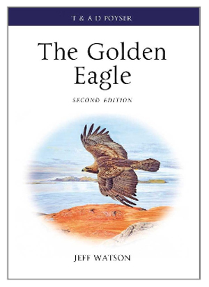 The Golden Eagle by Jeff Watson